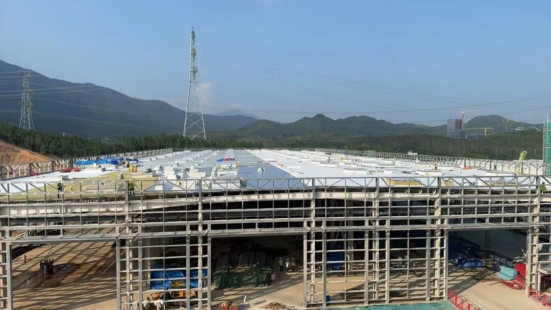 1740969324378989.jpg 15.jpg